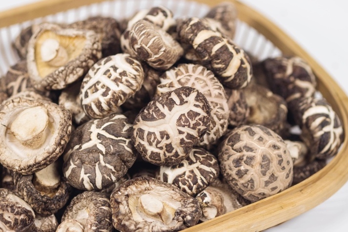 干貨倉庫怎么利用除濕機保持干爽？