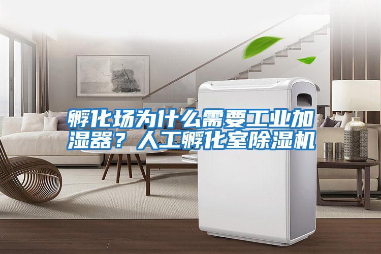 孵化場(chǎng)為什么需要工業(yè)加濕器？人工孵化室除濕機(jī)