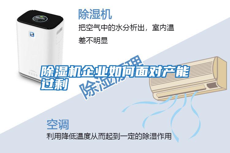 除濕機企業(yè)如何面對產能過剩