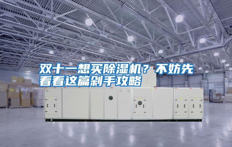 雙十一想買除濕機？不妨先看看這篇剁手攻略