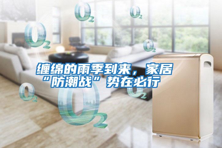 纏綿的雨季到來,家居“防潮戰(zhàn)”勢在必行