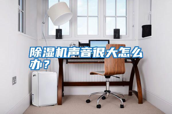 除濕機(jī)聲音很大怎么辦？