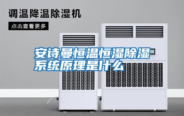 安詩(shī)曼恒溫恒濕除濕系統(tǒng)原理是什么