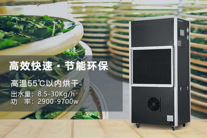 梅雨及夏季潮濕季節，讓除濕機成為您家的保護神跟保健員