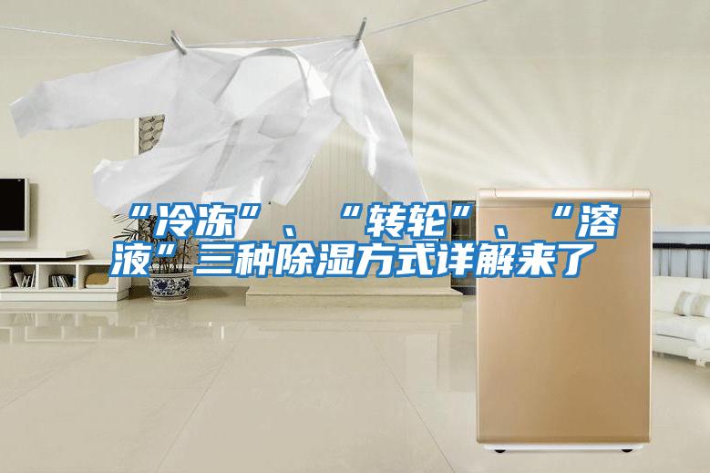 “冷凍”、“轉(zhuǎn)輪”、“溶液”三種除濕方式詳解來了
