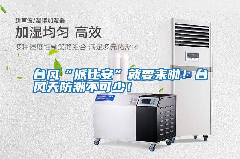 臺風“派比安”就要來啦！臺風天防潮不可少！