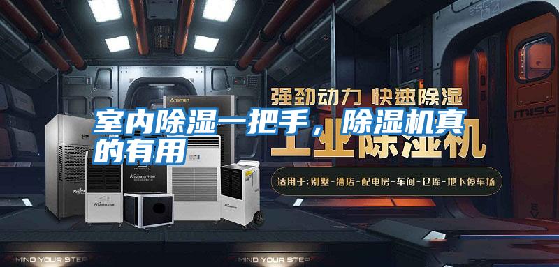 室內(nèi)除濕一把手，除濕機真的有用