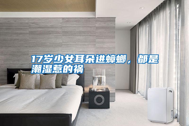 17歲少女耳朵進蟑螂，都是潮濕惹的禍
