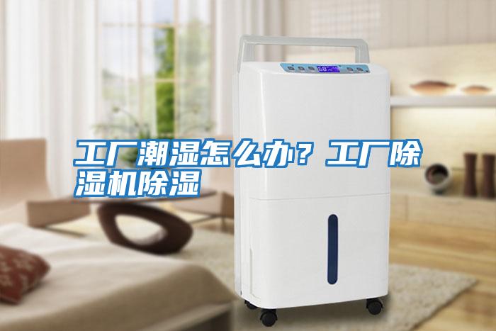 工廠潮濕怎么辦？工廠除濕機除濕