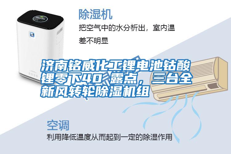 濟(jì)南銘威化工鋰電池鈷酸鋰零下40℃露點(diǎn)，三臺全新風(fēng)轉(zhuǎn)輪除濕機(jī)組