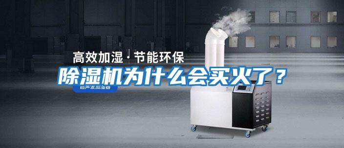 除濕機為什么會買火了?