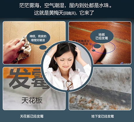 除濕機(jī)除濕效率怎么看才正確？