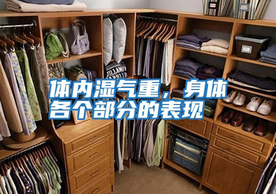 體內濕氣重，身體各個部分的表現