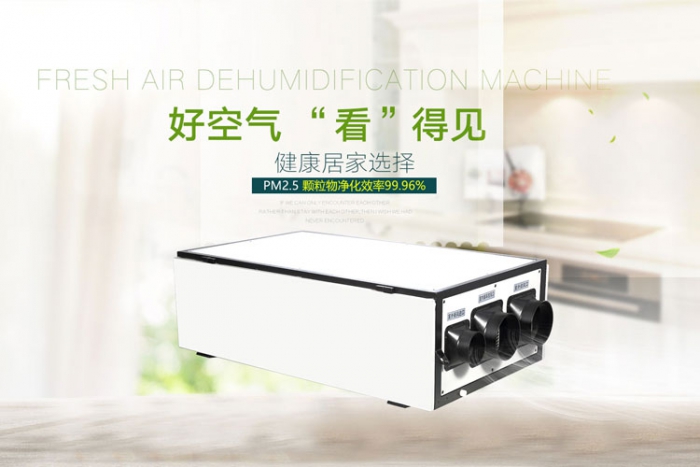 下雨天潮氣逼人，除濕機一掃而盡