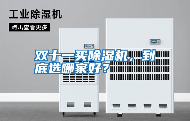 雙十一買除濕機，到底選哪家好？