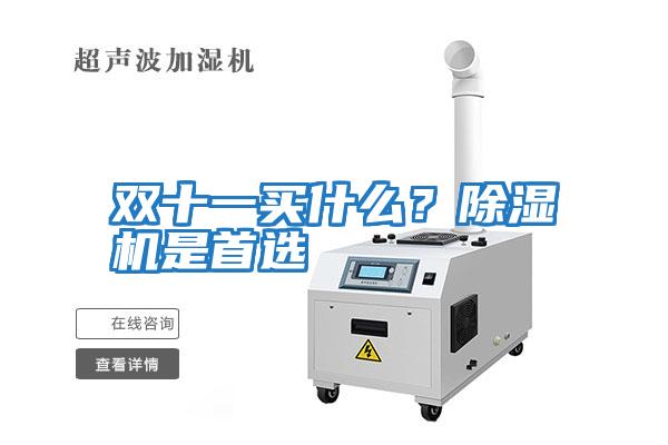 雙十一買(mǎi)什么？除濕機(jī)是首選