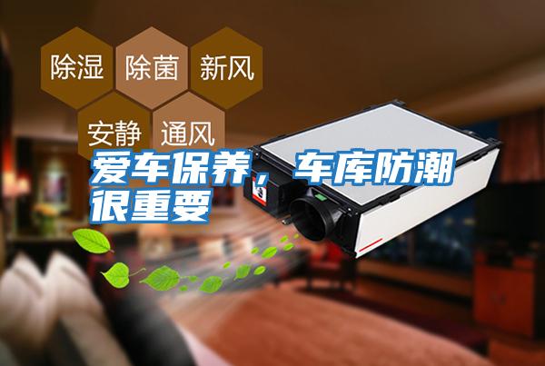 愛車保養,車庫防潮很重要