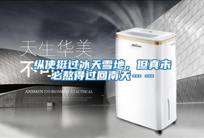縱使挺過冰天雪地，但真未必熬得過回南天……
