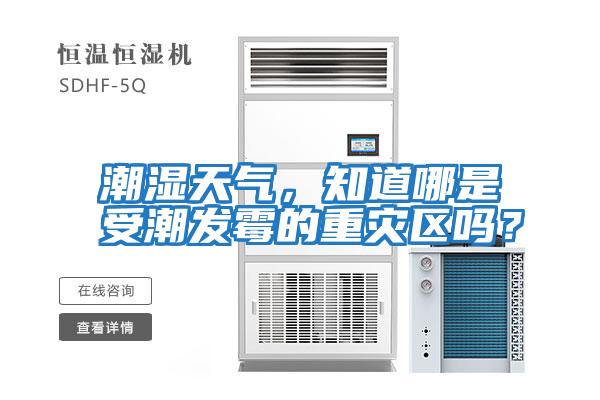 潮濕天氣，知道哪是受潮發霉的重災區嗎？
