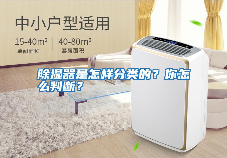 除濕器是怎樣分類(lèi)的？你怎么判斷？