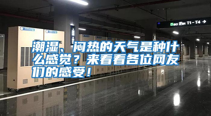 潮濕、悶熱的天氣是種什么感覺？來看看各位網(wǎng)友們的感受！