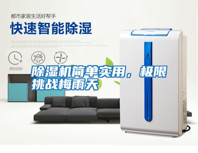除濕機簡單實用，極限挑戰梅雨天