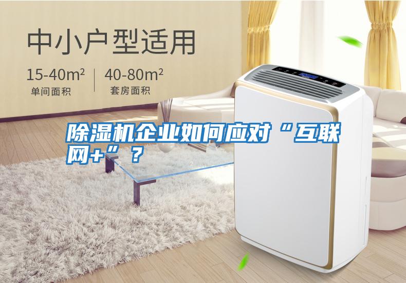 除濕機(jī)企業(yè)如何應(yīng)對(duì)“互聯(lián)網(wǎng)+”?