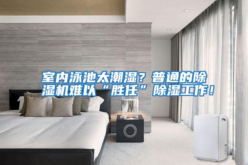 室內(nèi)泳池太潮濕?普通的除濕機難以“勝任”除濕工作!