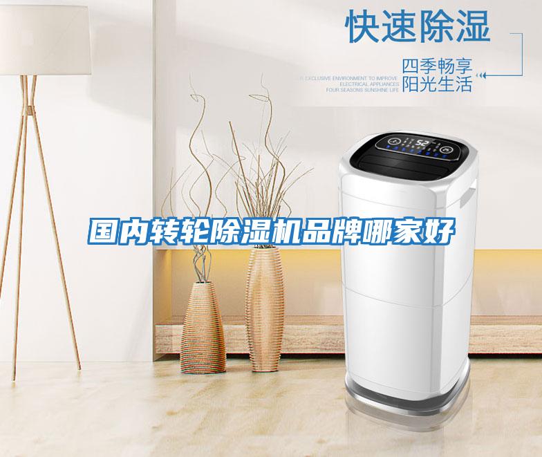 國內(nèi)轉(zhuǎn)輪除濕機品牌哪家好