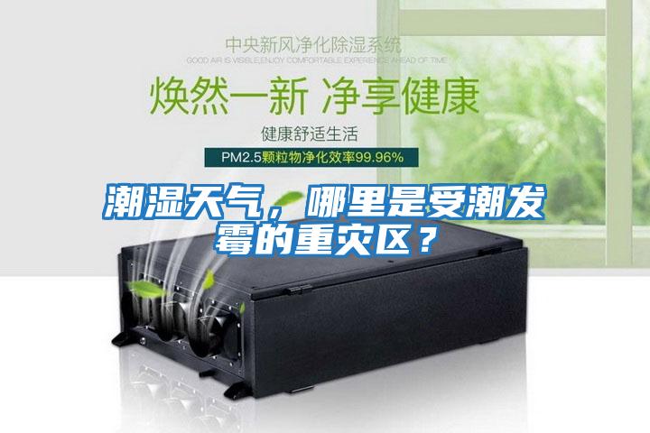 潮濕天氣，哪里是受潮發(fā)霉的重災(zāi)區(qū)？