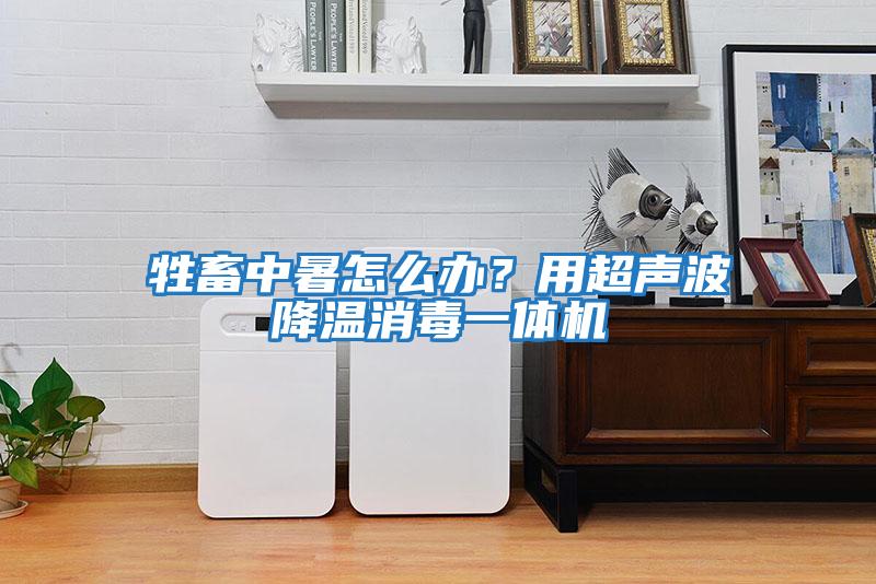 牲畜中暑怎么辦？用超聲波降溫消毒一體機(jī)