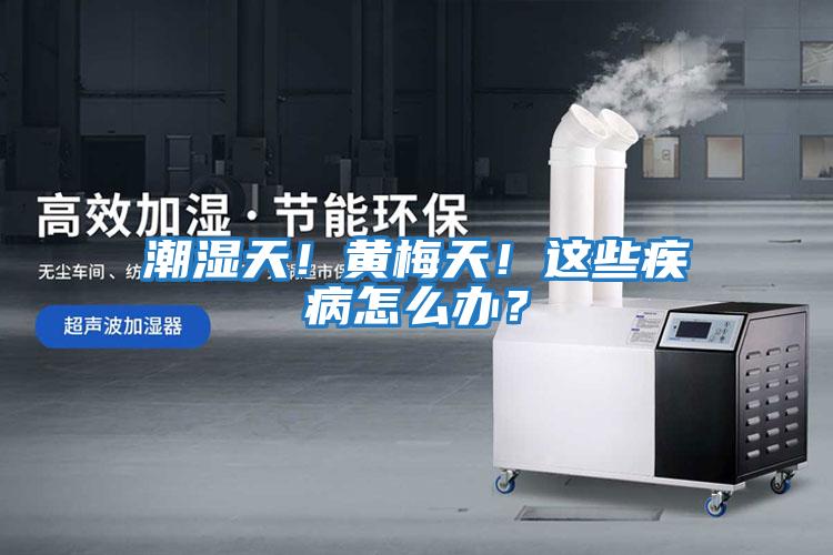 潮濕天！黃梅天！這些疾病怎么辦？