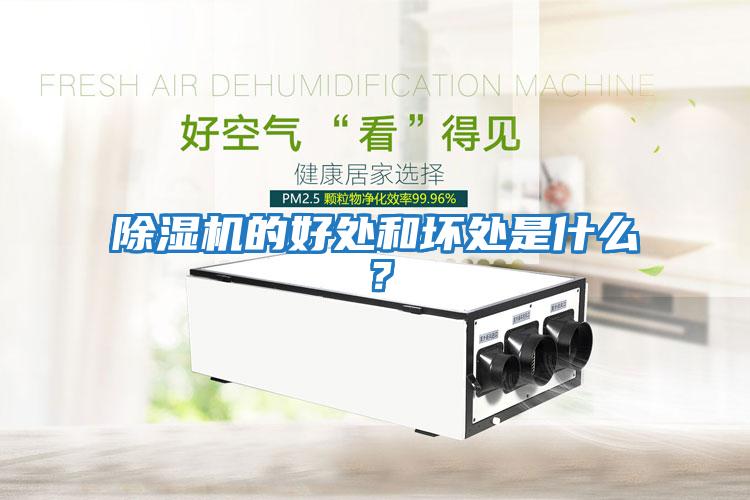 除濕機的好處和壞處是什么？