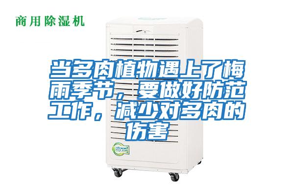 當多肉植物遇上了梅雨季節，要做好防范工作，減少對多肉的傷害