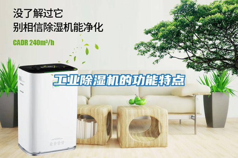 工業(yè)除濕機的功能特點