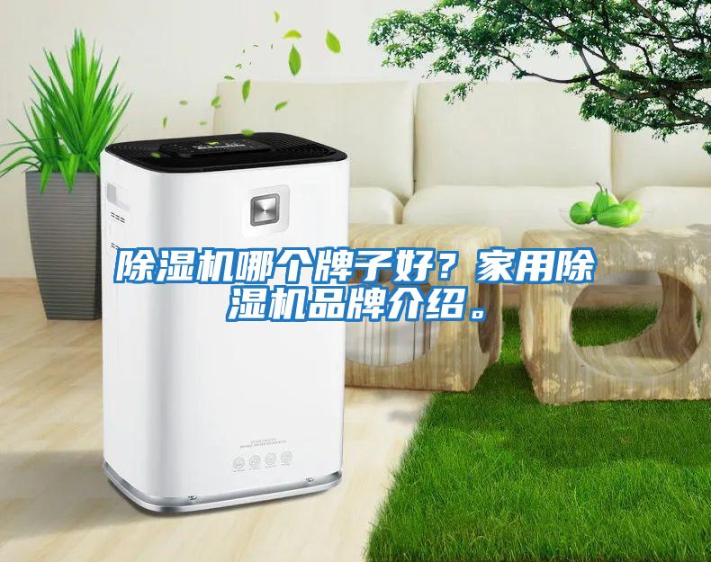 除濕機(jī)哪個(gè)牌子好？家用除濕機(jī)品牌介紹。