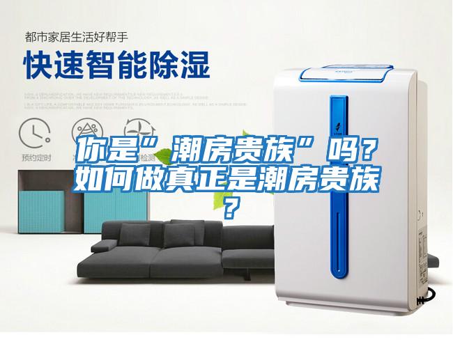 你是”潮房貴族”嗎？如何做真正是潮房貴族？