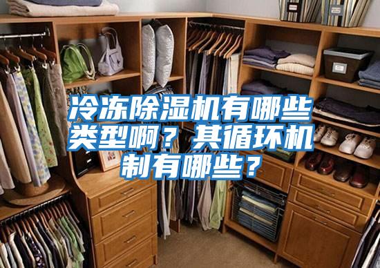 冷凍除濕機有哪些類型啊？其循環機制有哪些？