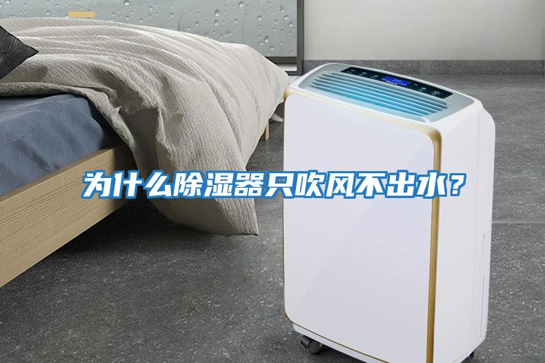為什么除濕器只吹風不出水？