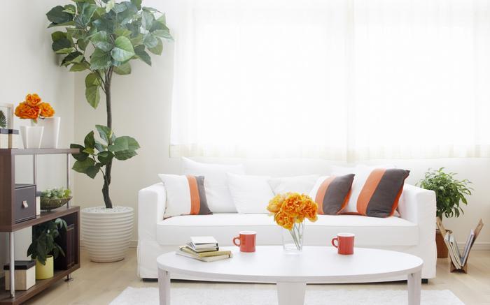 梅雨季節(jié)謹(jǐn)防濕度過多而導(dǎo)致細(xì)菌滋生