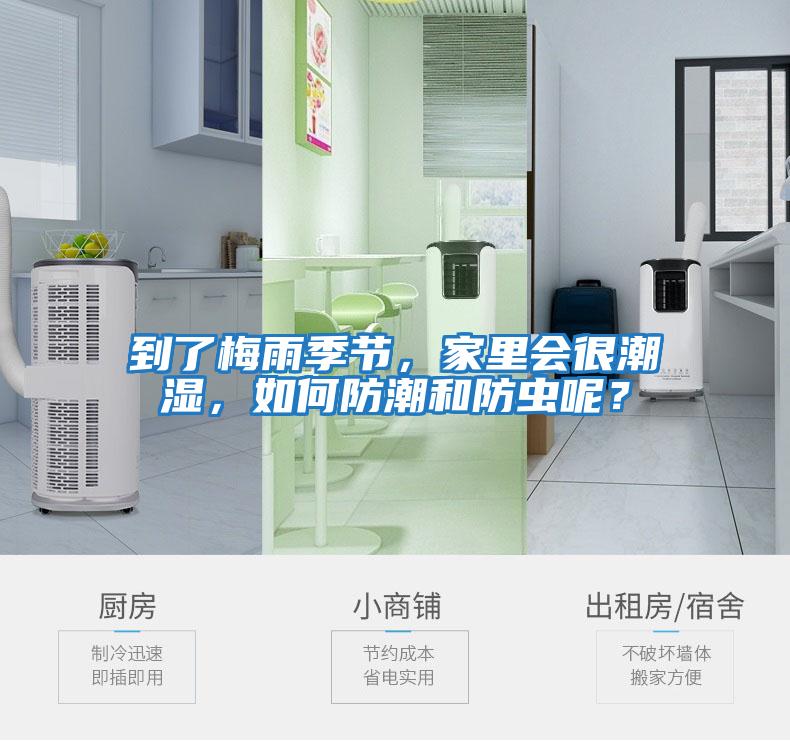 到了梅雨季節(jié)，家里會(huì)很潮濕，如何防潮和防蟲呢？