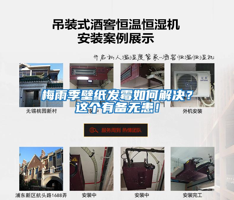 梅雨季壁紙發(fā)霉如何解決？這個(gè)有備無患！