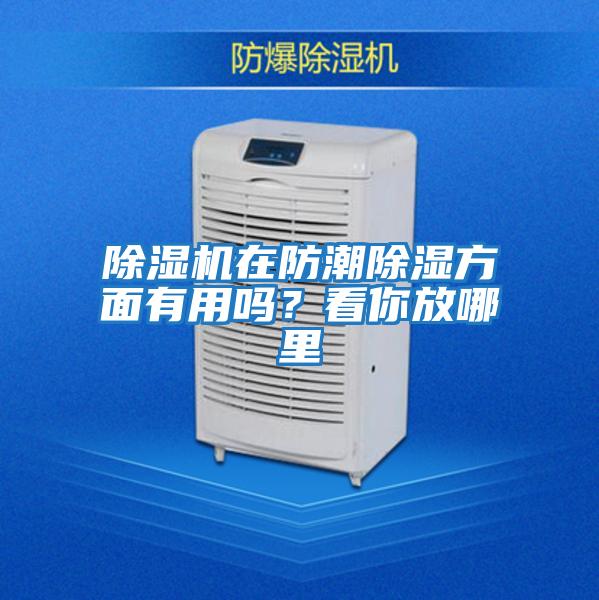 除濕機(jī)在防潮除濕方面有用嗎?看你放哪里