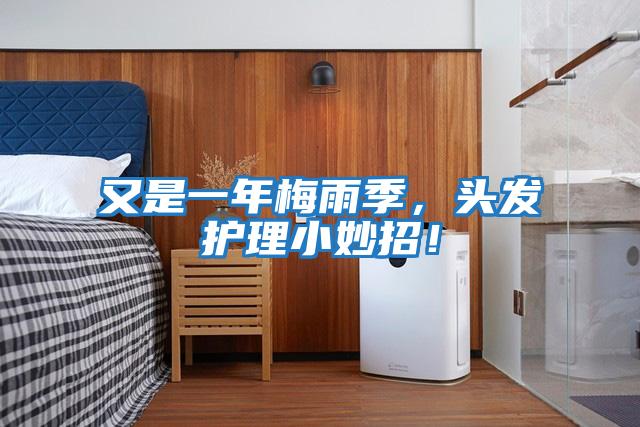 又是一年梅雨季，頭發護理小妙招！