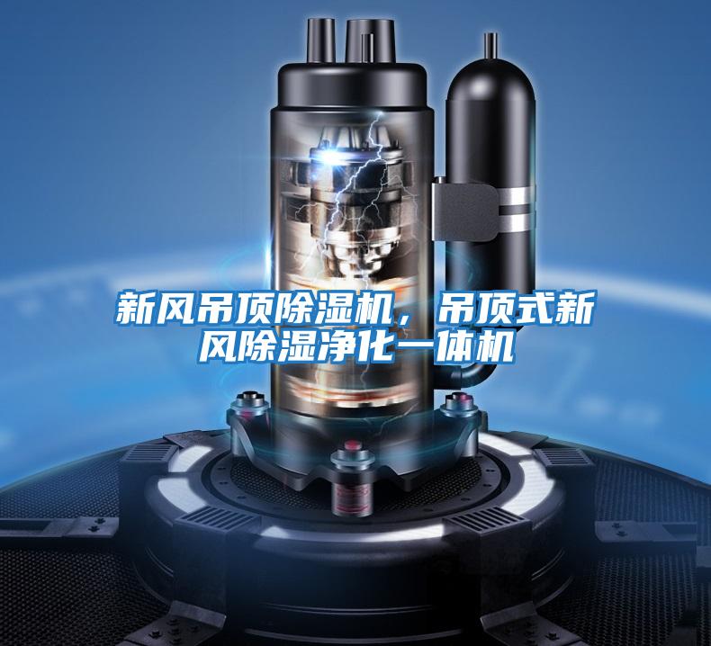 新風(fēng)吊頂除濕機(jī),吊頂式新風(fēng)除濕凈化一體機(jī)