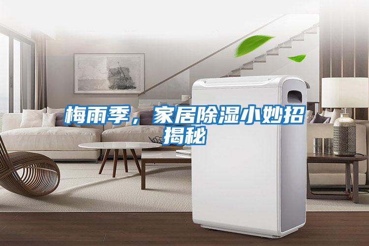 梅雨季，家居除濕小妙招揭秘