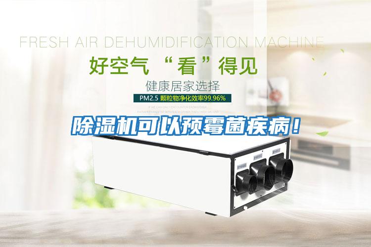 除濕機可以預霉菌疾??！