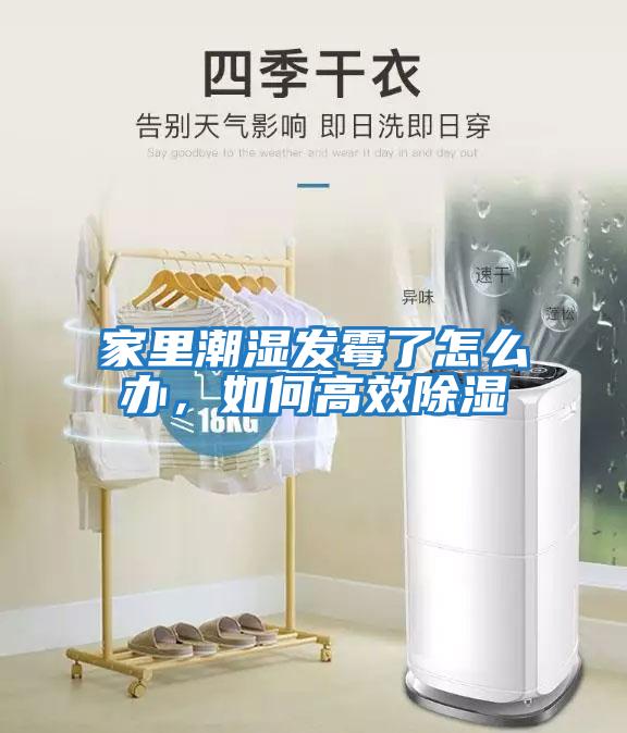 家里潮濕發霉了怎么辦，如何高效除濕