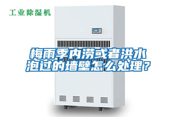 梅雨季內澇或者洪水泡過的墻壁怎么處理？