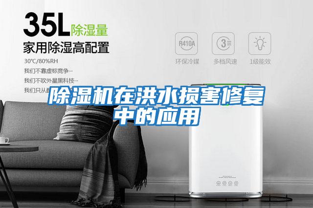 除濕機在洪水損害修復中的應用